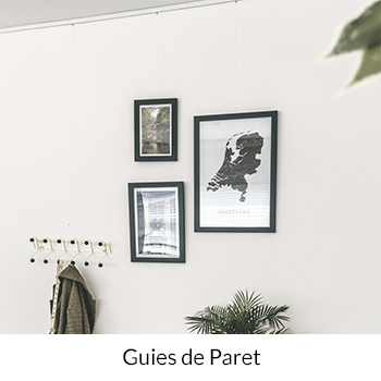 Guies de Paret